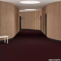 6-0780450.webp thumb image