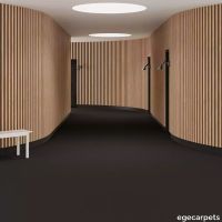 6-0780765.webp thumb image