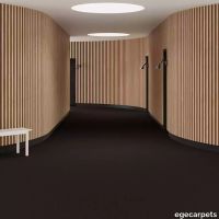 6-078277548.webp thumb image