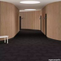 6-079702548.webp thumb image