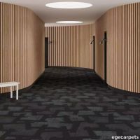 6-079703448.webp thumb image