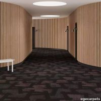6-079703648.webp thumb image