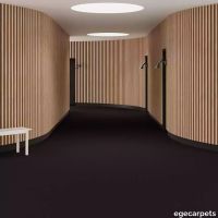 6-0800880.webp thumb image