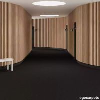 6-083777548.webp thumb image