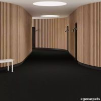 6-0838350.webp thumb image
