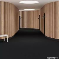 6-085676048.webp thumb image