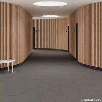 6-086403048.webp thumb image