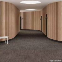 6-0887036.webp thumb image