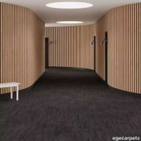 6-0887038.webp thumb image