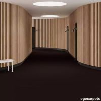 6-0903490.webp thumb image