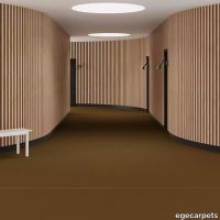 6-0903640.webp thumb image