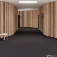 6-0903745.webp thumb image