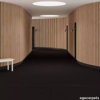 6-0903195.webp thumb image