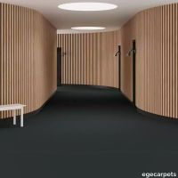 6-0903335.webp thumb image