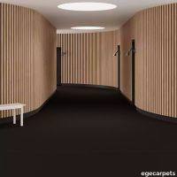 6-0903375.webp thumb image