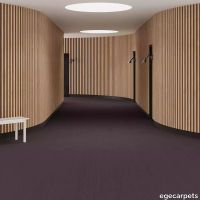6-0907850.webp thumb image