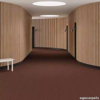 6-0907940.webp thumb image