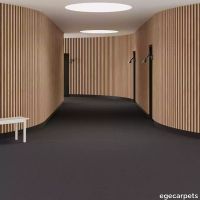 6-0909730.webp thumb image