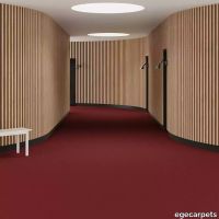 6-0911420.webp thumb image