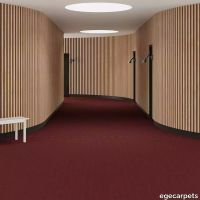 6-0913420.webp thumb image