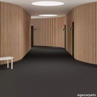 6-0913715.webp thumb image