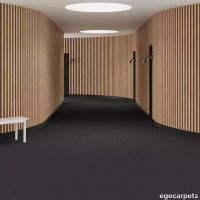 6-0913720.webp thumb image