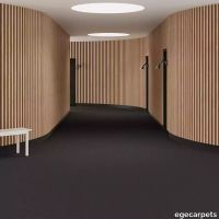 6-0913730.webp thumb image