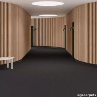 6-0913770.webp thumb image