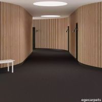 6-0913780.webp thumb image