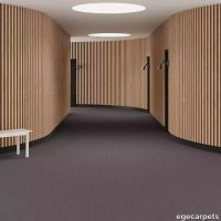 6-0913810.webp thumb image