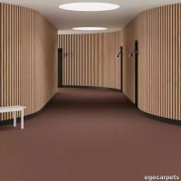 6-0913920.webp thumb image
