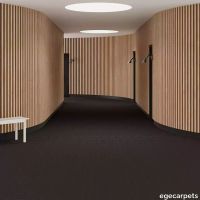 6-0913120.webp thumb image