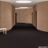 6-0913130.webp thumb image