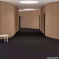 6-2471786.webp thumb image