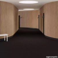 6-2471190.webp thumb image