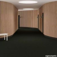 6-2471390.webp thumb image