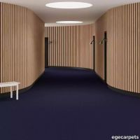 6-2153580.webp thumb image