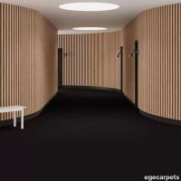 6-2153780.webp thumb image