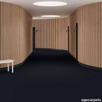 6-2358590.webp thumb image