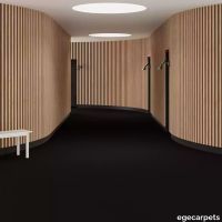 6-2358820.webp thumb image