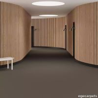 6-2358260.webp thumb image