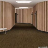 6-713201148.webp thumb image