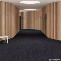 6-713204148.webp thumb image