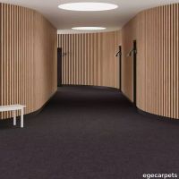 6-713313048.webp thumb image