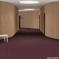 6-7133240.webp thumb image