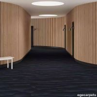 6-7135420.webp thumb image