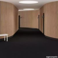 6-7135060.webp thumb image