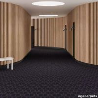 6-RE17797-5653CP.webp thumb image