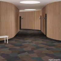6-RF55751818.webp thumb image
