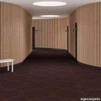 6-RF5575120.webp thumb image